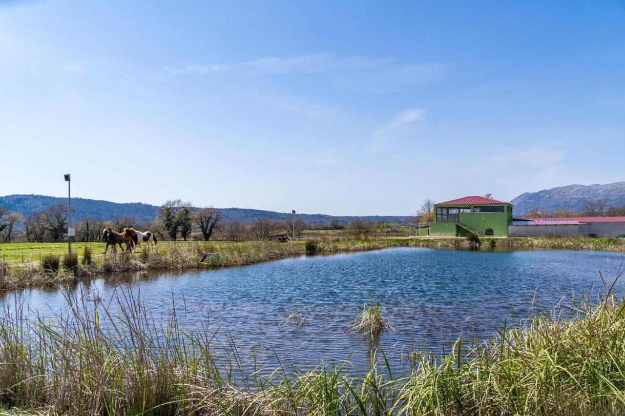 Gruda Villa Agave מראה חיצוני תמונה